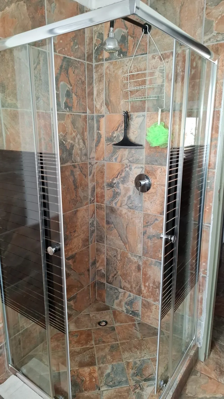 En-suite bathroom with walk-in shower