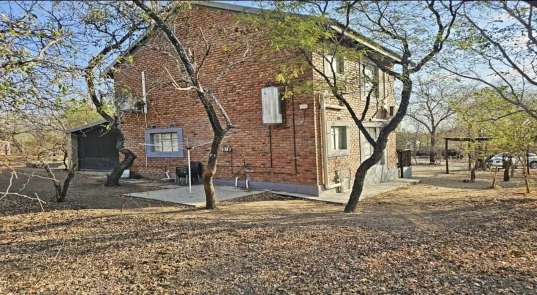 Shachar tucked among the bushveld trees