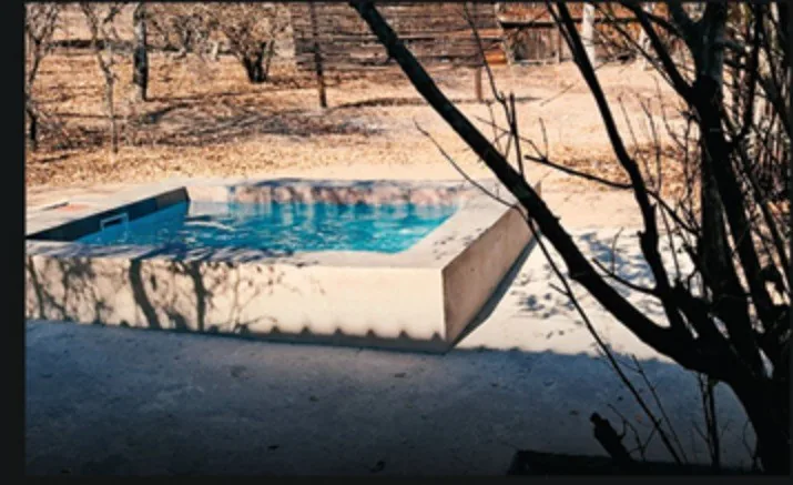 Private splash pool surrounded by bushveld